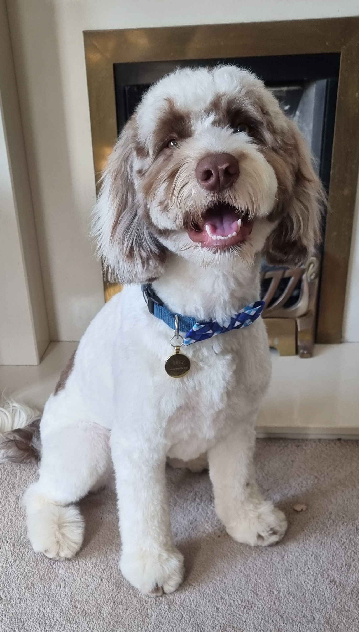 Oakley